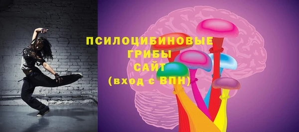 стаф Беломорск