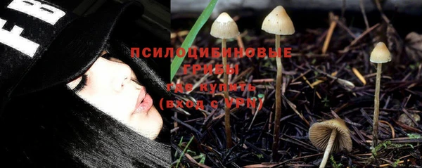 каннабис Белокуриха